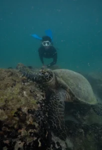 galapagos6