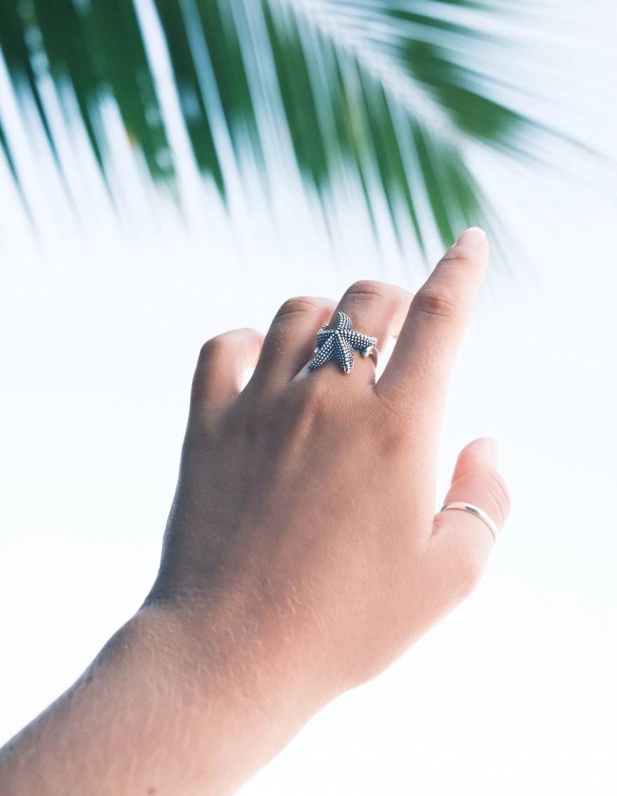 Anillo origen - Imagen 5